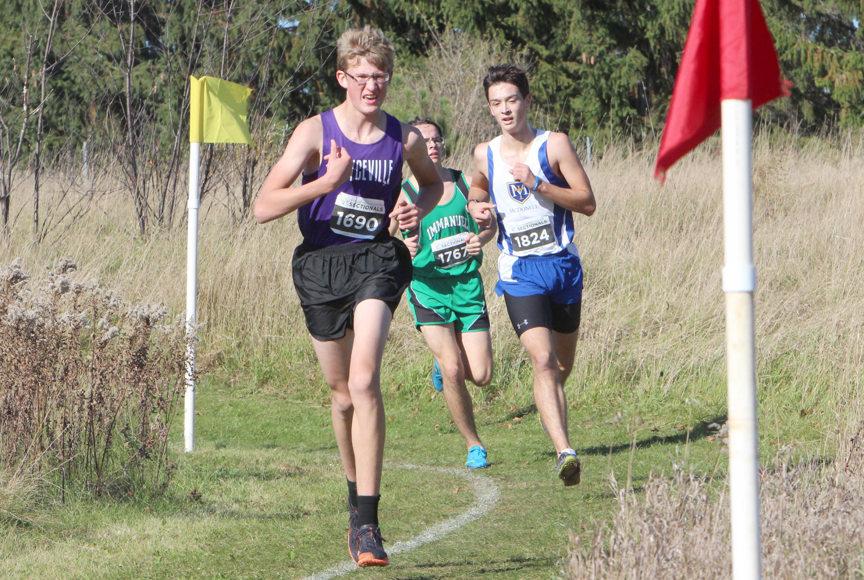Division 3 Cross Country Sectionals in Boyceville 10-26-19